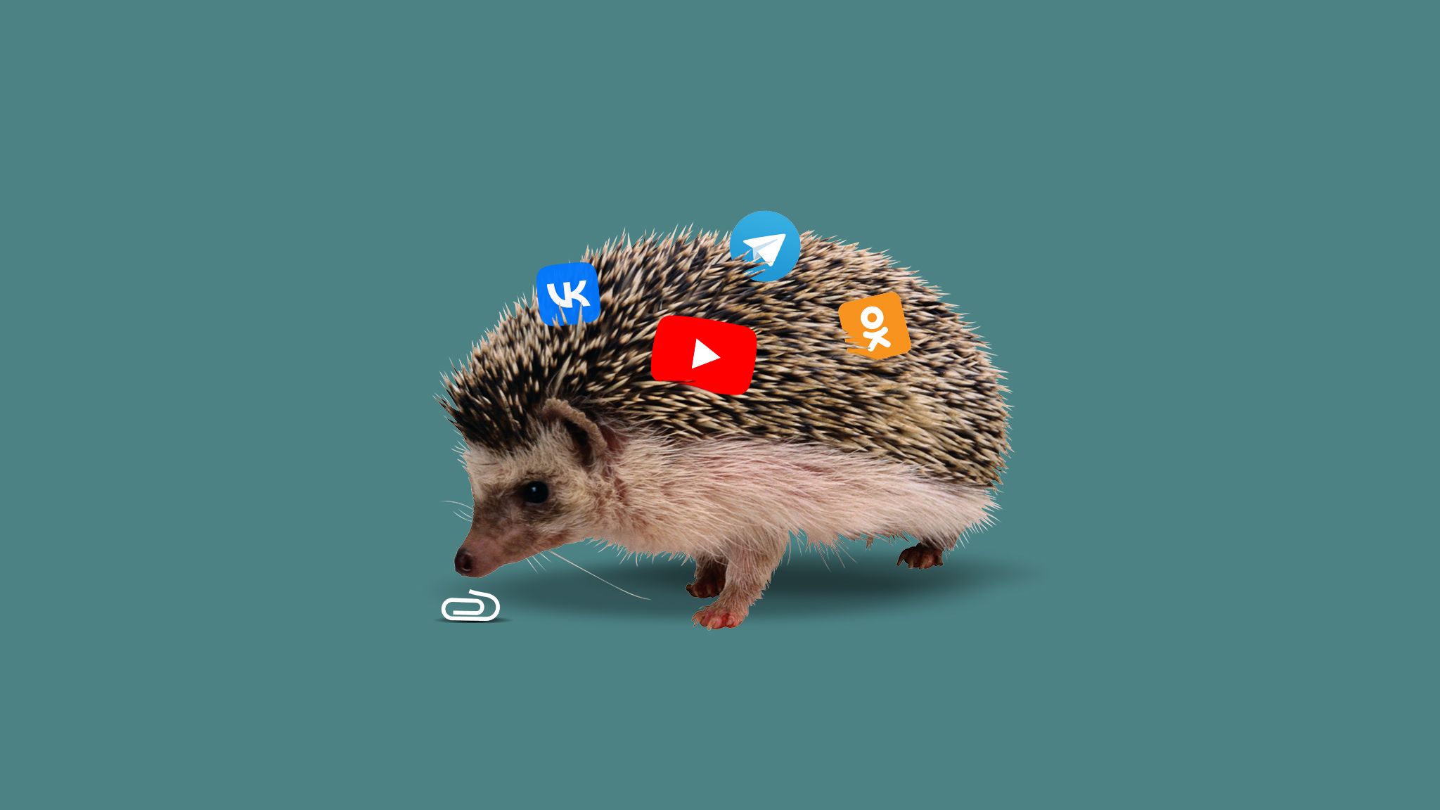 Где найти работу, поболтать с коллегами, задать вопрос про 1С, посмотреть бухгалтерский стрим или Что вы еще не знаете о соцсетях "Клерка"