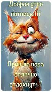 images (18).jpeg