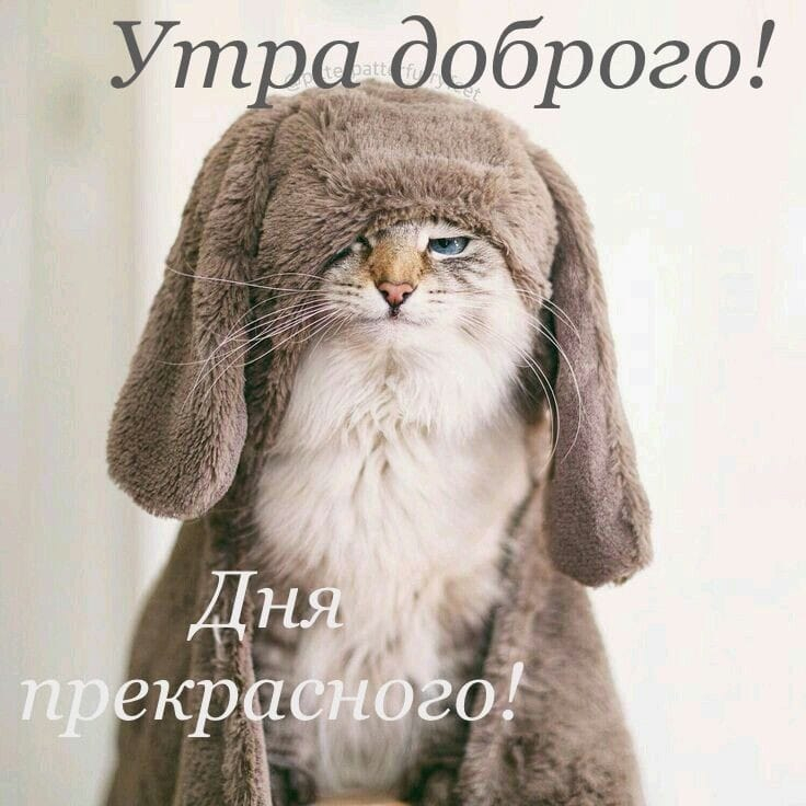 WhatsApp Image 2025-02-26 at 08.22.33.jpeg