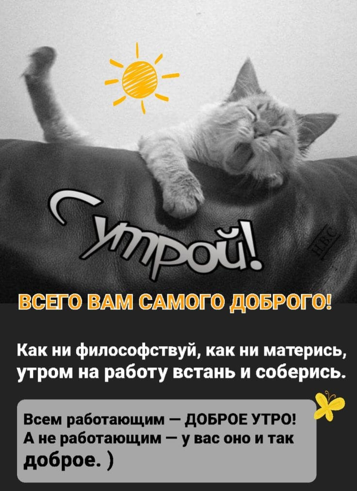 WhatsApp Image 2025-04-23 at 07.18.06.jpeg