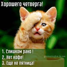 images (23).jpeg