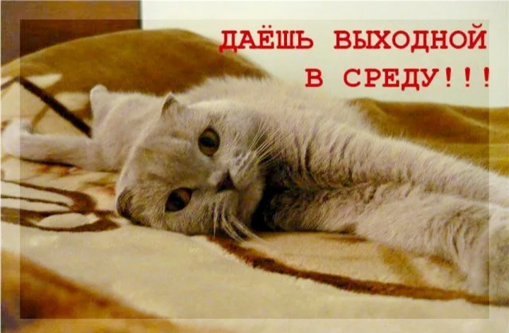 be6fd9ee71d35ff8b8a641da71744b21.png
