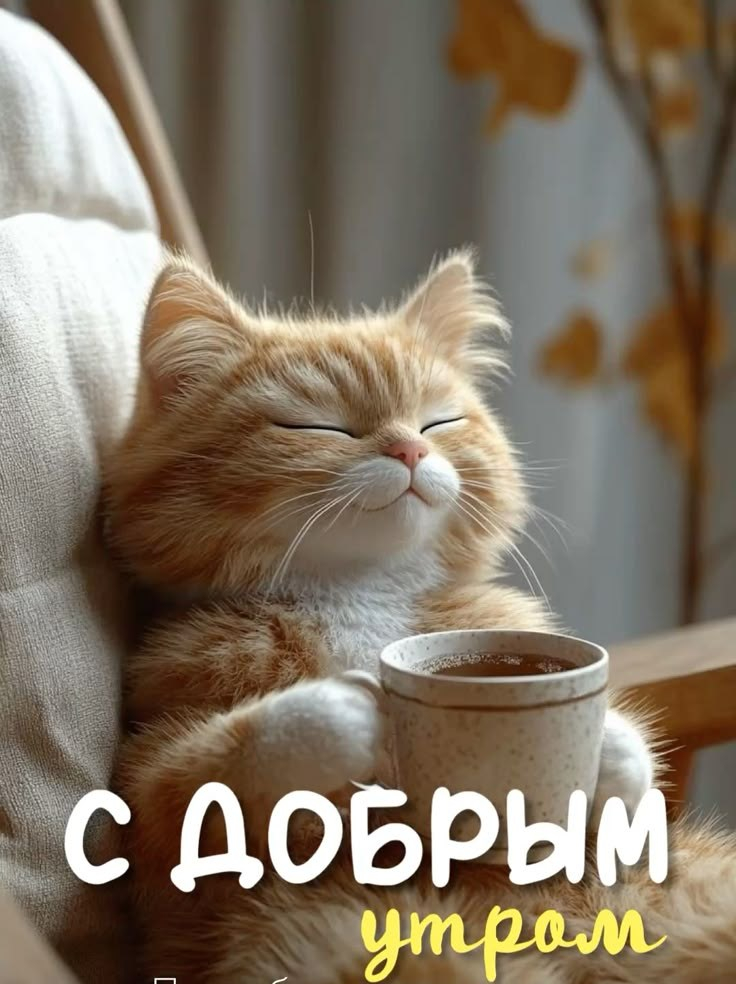 WhatsApp Image 2025-04-22 at 06.44.01.jpeg