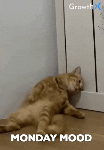 GrowthX-Club-monday-mood-morning-tqj4m9BRURayxQAIW9.gif