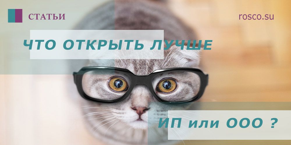Почему ооо лучше чем ип по пунктам. Смотреть фото Почему ооо лучше чем ип по пунктам. Смотреть картинку Почему ооо лучше чем ип по пунктам. Картинка про Почему ооо лучше чем ип по пунктам. Фото Почему ооо лучше чем ип по пунктам